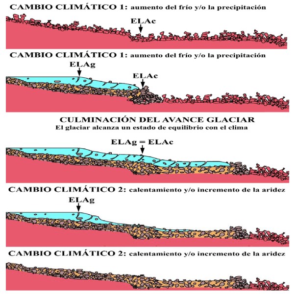 Hipótesis ELAg-ELAc